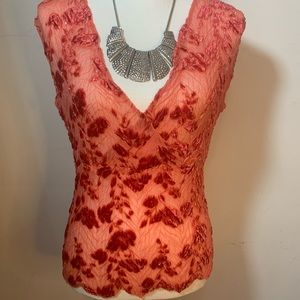 Sheer Medium blouse Coral velvet silver thread slight v neck